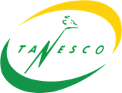 TANESCO